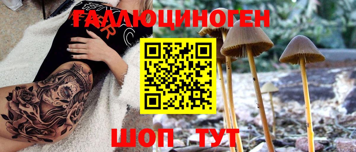 Галлюциногенные грибы ЛСД Сухой Лог