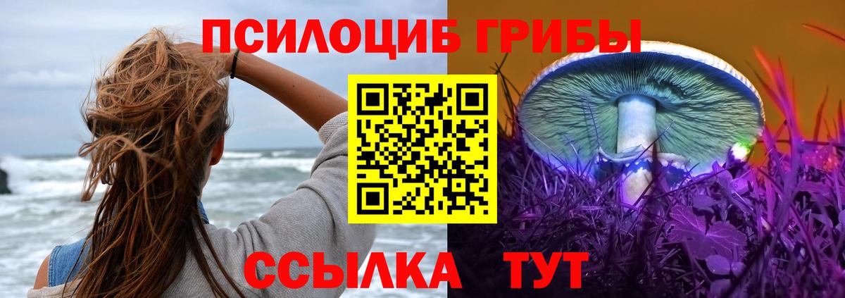 купить  сайты  Галлюциногенные грибы ЛСД  Вход с VPN  Сухой Лог 